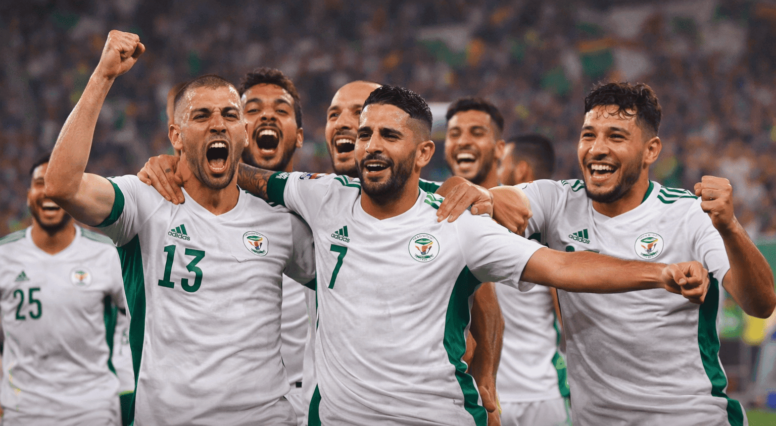 الجزائر منتخب الجزائر امم إفريقيا 2026